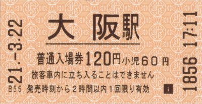 ������ �摜